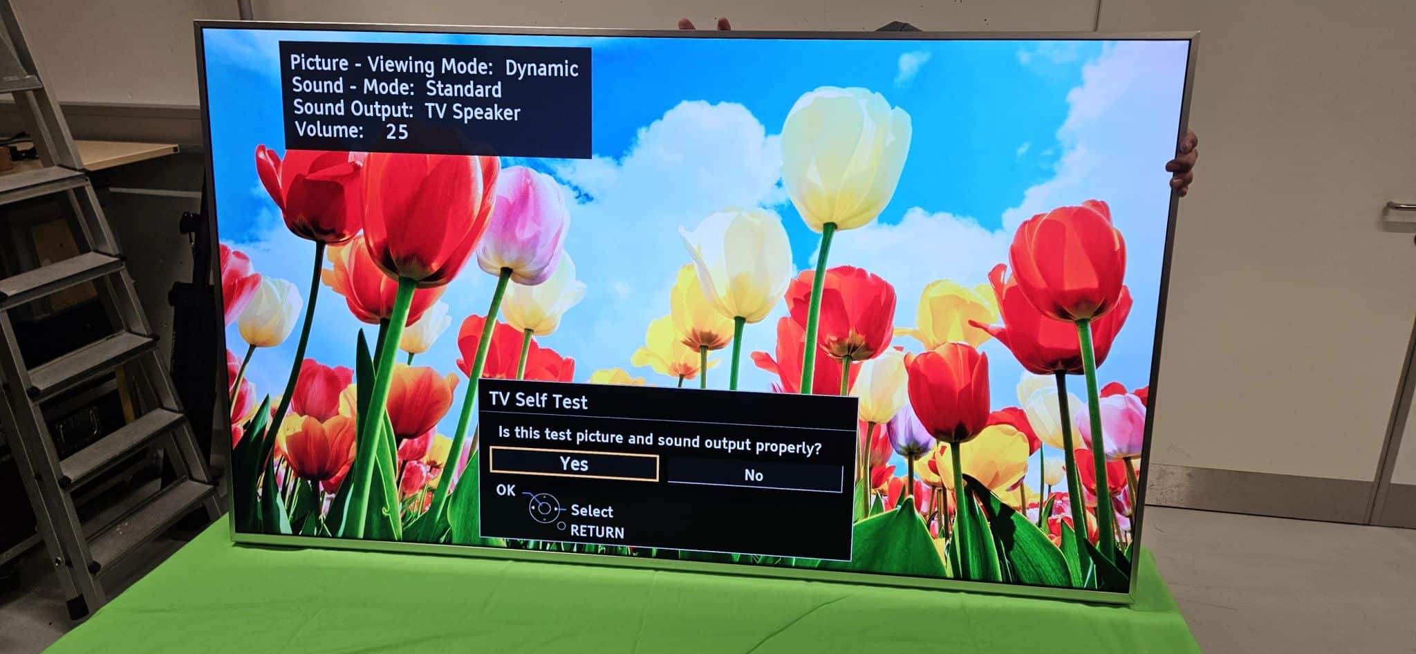 Photo d'une télévision Panasonic TX-65FXW724 que nous avons réparée