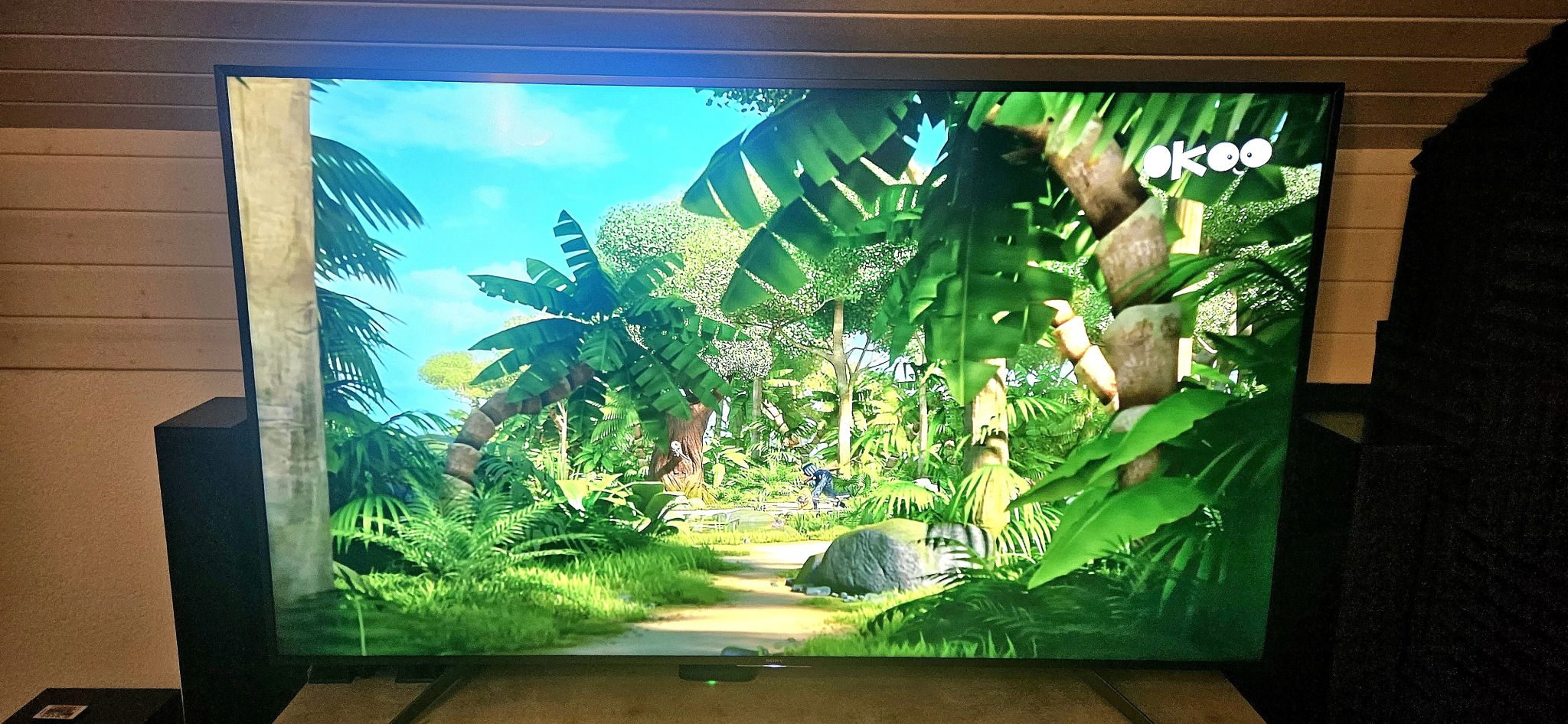 Photo d'une télévision modèle KD-85XG8596